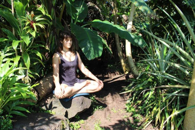 Paradise Eco-Village Pahoa Exterior foto