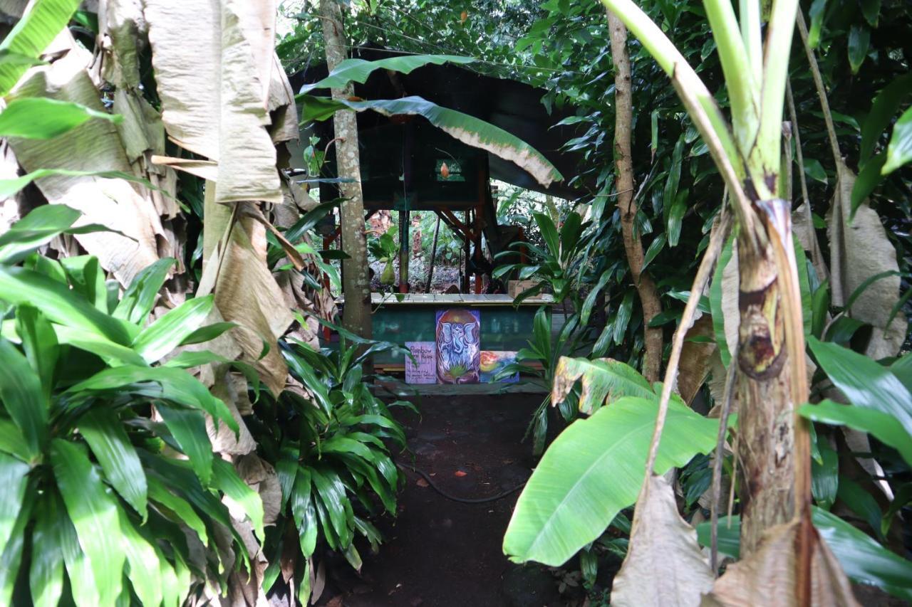 Paradise Eco-Village Pahoa Exterior foto