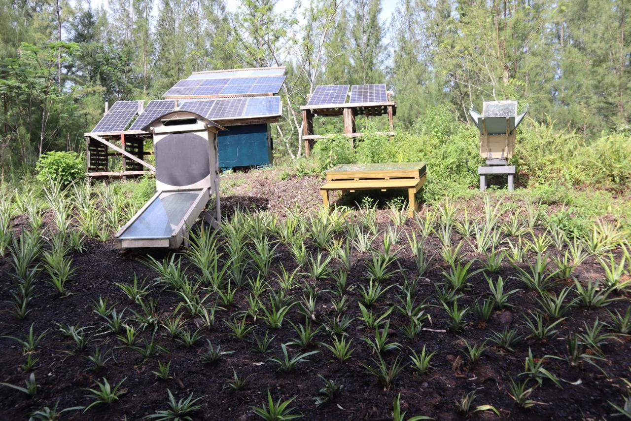 Paradise Eco-Village Pahoa Exterior foto